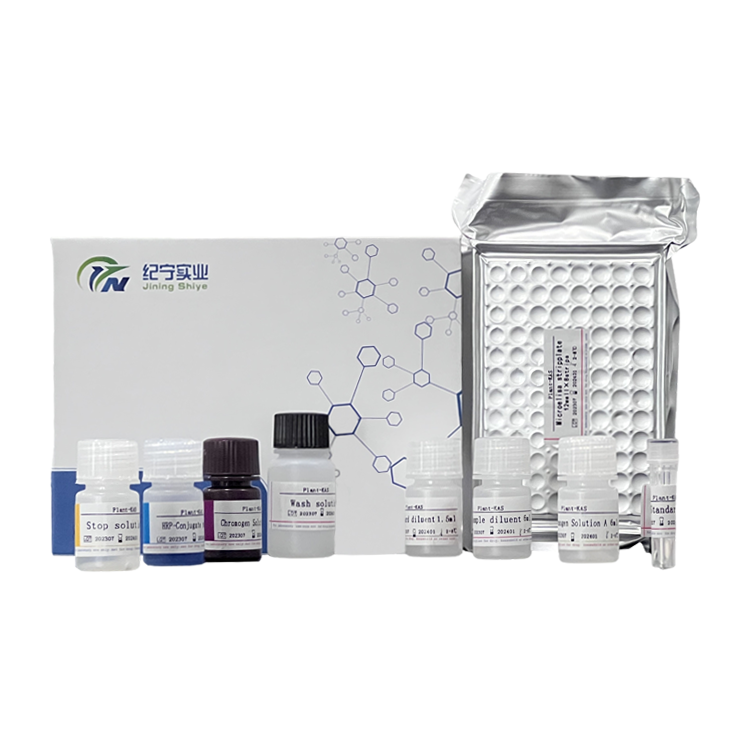 倉(cāng)鼠羥甲基戊二酸單酰輔酶A(HMG-CoA)ELISA試劑盒