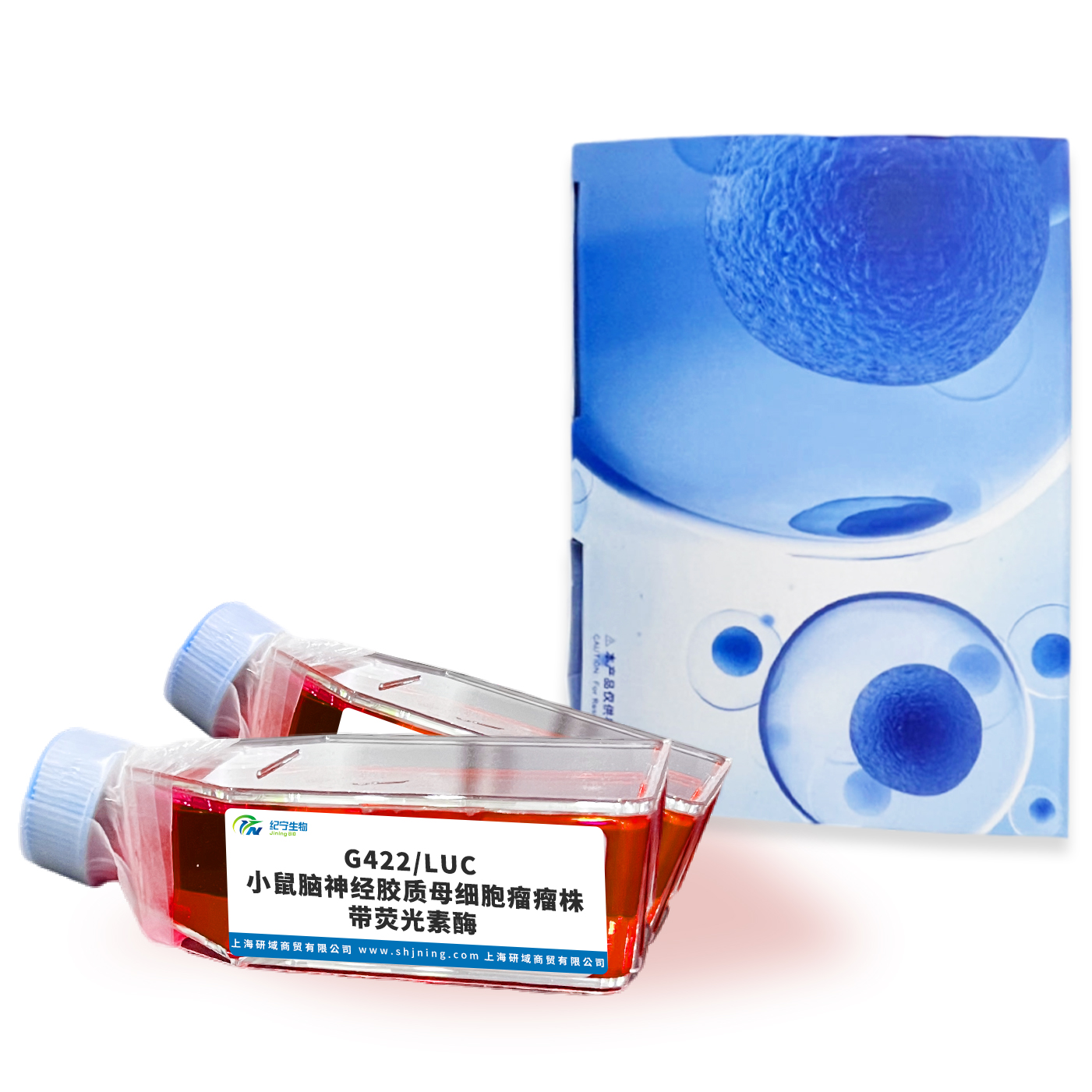 G422/LUC 小鼠腦神經(jīng)膠質(zhì)母細胞瘤瘤株帶熒光素酶