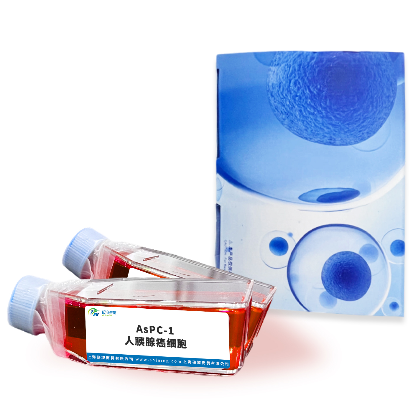 AsPC-1人胰腺癌細(xì)胞