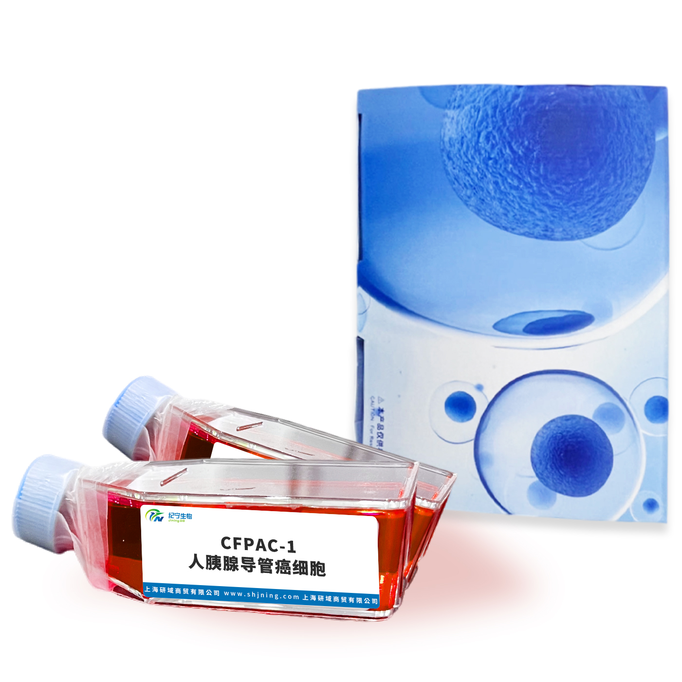  CFPAC-1人胰腺導(dǎo)管癌細(xì)胞 