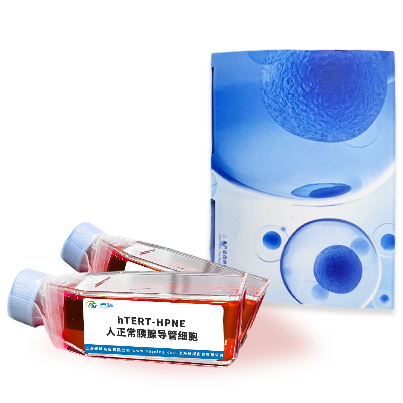 hTERT-HPNE人正常胰腺導(dǎo)管細(xì)胞